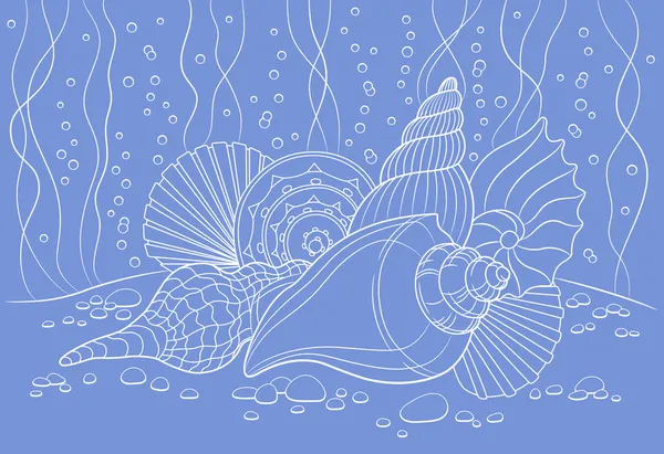 Seashells — Stock Vector