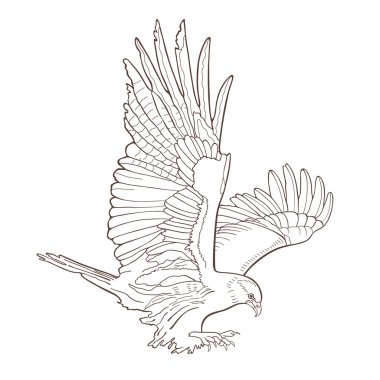 kartal