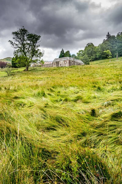 Wzdłuż West Highland Way Szkocji Farma Dumgoyach Stoi Zieloną Łąką — Zdjęcie stockowe