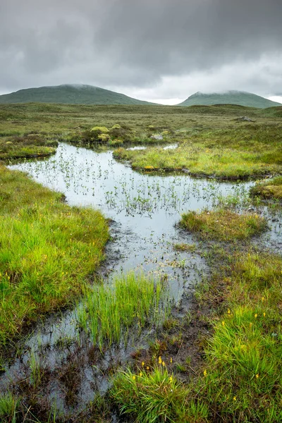 Paysage Long West Highland Way Écosse Une Vue Sur Lande — Photo