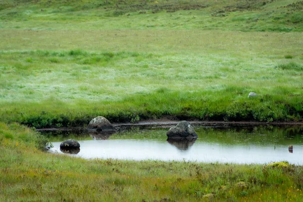 Paisagem Longo West Highland Way Escócia Três Rochas Emergem Pântano — Fotografia de Stock