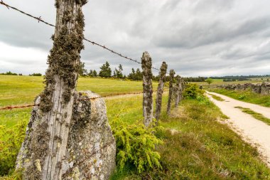 Aubrac platosundaki Santiago de Compostela yolunda dikenli teller var.