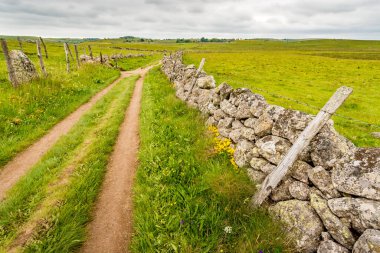 Santiago de Compostela hac yolu Aubrac platosunu geçiyor taş duvarlar ve dikenli teller arasında