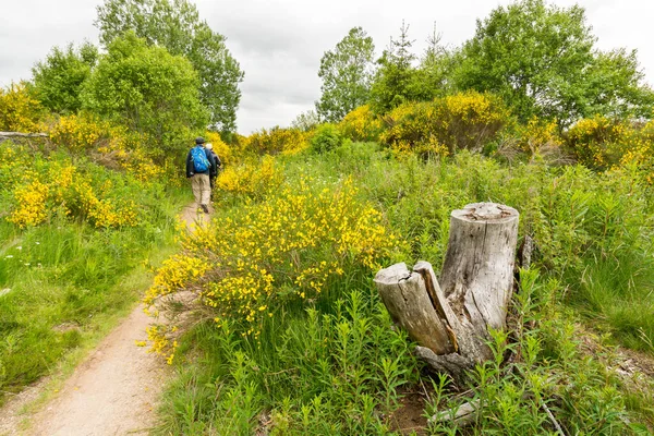 Két Túrázó Követi Utat Santiago Compostelába Ami Aubrac Fennsíkon Lévő — Stock Fotó