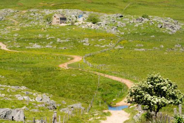 Saint Guilhem le Desert 'e hac yolunda. Aubrac Platosu 'ndaki Saint Guilhem le Desert yolundaki hac yolculuğu.