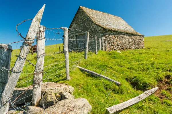 Cerca Arame Farpado Perto Buron Edifício Típico Planalto Aubrac — Fotografia de Stock