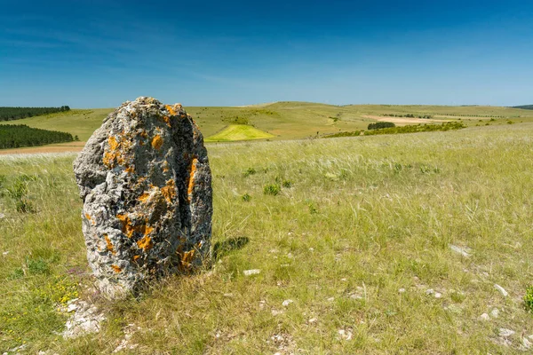 Uma Pedra Solitária Relvado Seco Causse Mejean — Fotografia de Stock