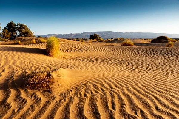 Sahara Woestijn Marokko Wind Heeft Zandduinen Uitgehouwen Door Groeven Graven — Stockfoto