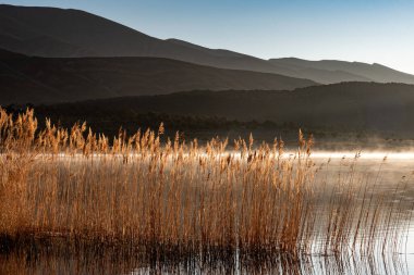 Fas 'taki Tislit Gölü. Gölde büyüyen çimen manzarası sabah güneşiyle gölün üzerindeki sis dağılırken