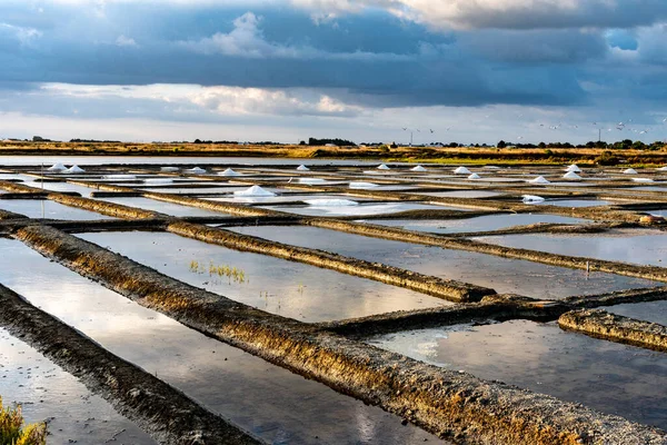 フランスのノイルムティエ島の塩沼 — ストック写真