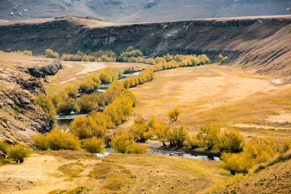Lesotho Git Ağaçlarla Kaplı Bir Nehir Bir Çayır Boyunca Akar — Stok fotoğraf