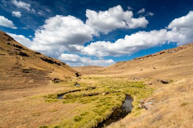 Lesotho 'ya git. Küçük bir dere Sehlabathebe Ulusal Parkı 'ndaki çimenli bir vadiden geçiyor.