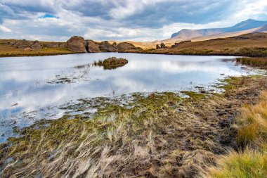 Lesotho 'ya git. Sehlabathebe Ulusal Parkı 'ndaki bir gölde su yosunu ve bitki örtüsü.