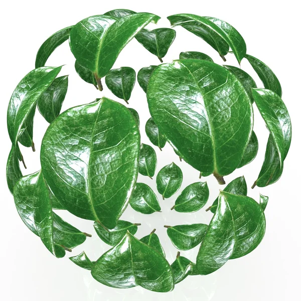 Green leaf background — Stock Photo, Image