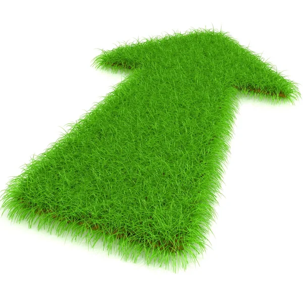 Flecha de una hierba — Foto de Stock