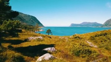 Yeşil çayırın üzerinden, dağ yolundan, denize doğru hızlı bir uçuş. Temiz, masmavi bir su ve güneşli bir hava. Arka planda deniz ve dağlar var. Norveç 2020.