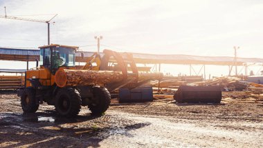 Yükleyici kereste değirmeni ağacının arka planına karşı kütükler taşıyor