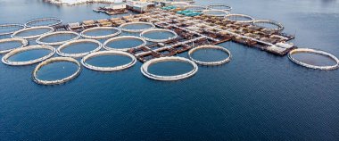 Somon balığı çiftliği mavi su. Havadan üst görünüm