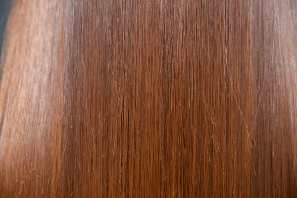Textura poškozených vlasů brunetka dívka, střih a zničené kořeny — Stock fotografie