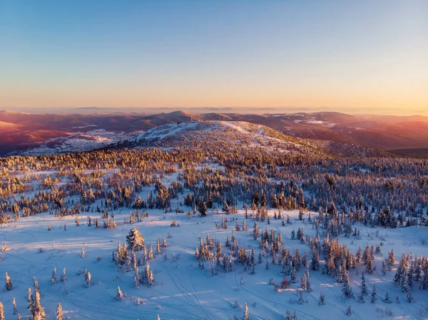 シェレゲシュスキー場の山々でカラフルな冬の夕日が木々を覆いました。ロシアの空中トップビュー美しい森 — ストック写真