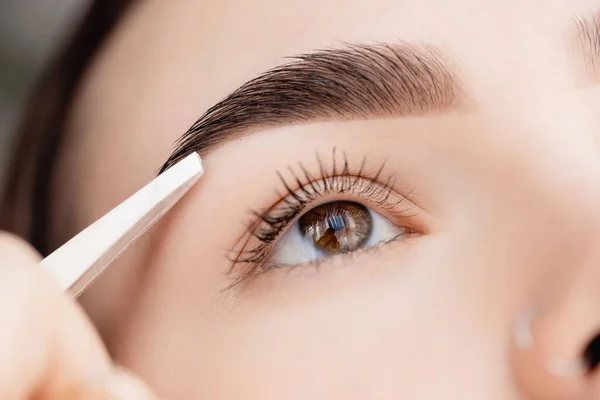 Master tweezers depilation of eyebrow hair in women, brow correction