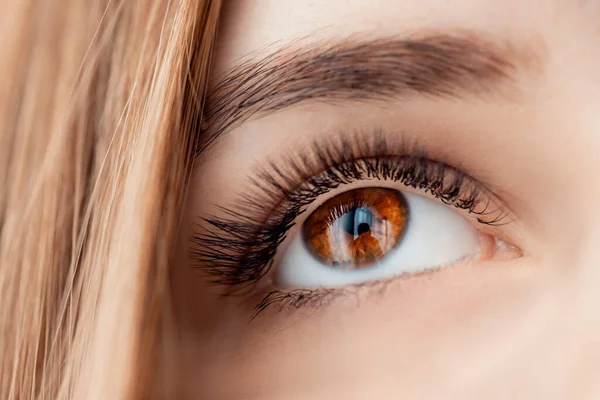 Frau braunes Auge mit langen schwarzen Wimpern und Augenbrauen, Makrofoto — Stockfoto