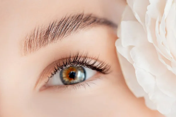 Procedimento de extensão de pestana microblading para mulher de olhos verdes no salão. Conceito beleza cuidados pele rosto — Fotografia de Stock