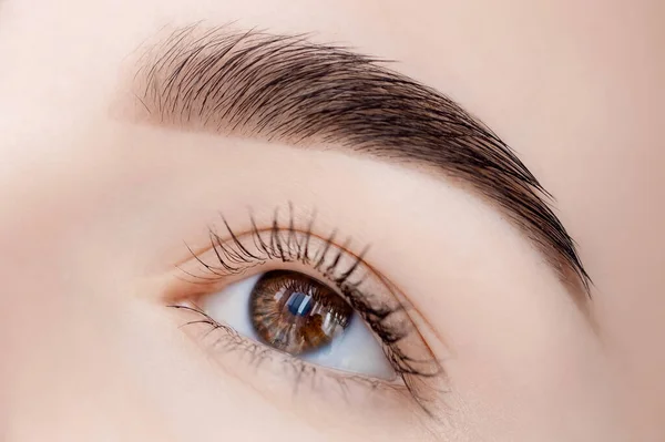 Mujer joven con hermosas cejas. Corrección del cabello de la frente en el salón de belleza —  Fotos de Stock