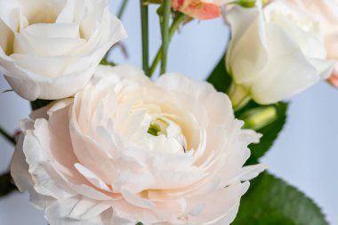 Kirpik uzatma prosedürü. Arkaplan güzelliği pembe çiçeklere sabitlenmiş.