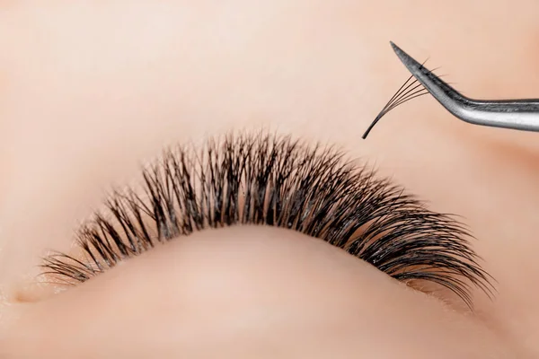 Process Eyelash extension procedure top view. Master tweezers fake 5d lashes beautiful woman eyes — Stock Photo, Image