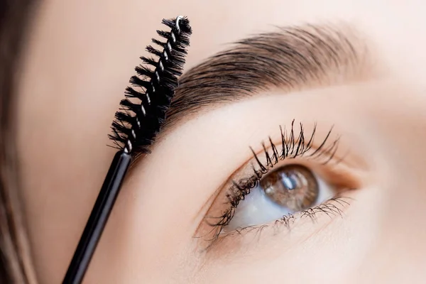 Master with comb of eyebrow hair in women, brow correction in beauty salon — Stock Photo, Image