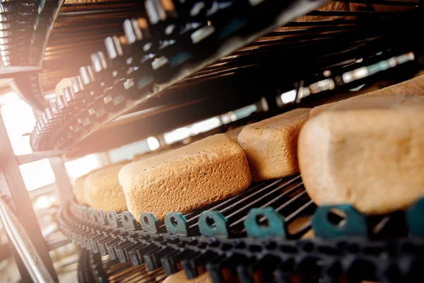 Fyrkantigt färskt bröd kyls ner på transportörens automatiska produktionslinje bageri efter stenugn — Stockfoto