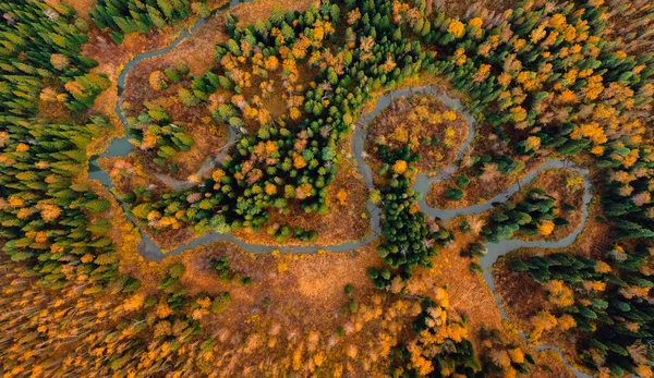 Paisaje bosque amarillo otoñal con sinuoso río con luz solar, Vista aérea —  Fotos de Stock