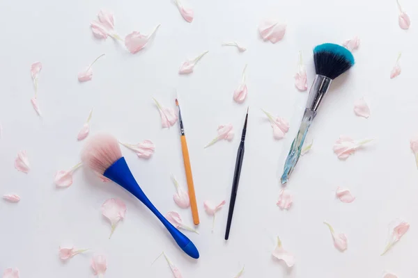 Establecer pinceles de maquillaje sobre flores de color rosa fondo blanco. Punto de vista superior, plano —  Fotos de Stock
