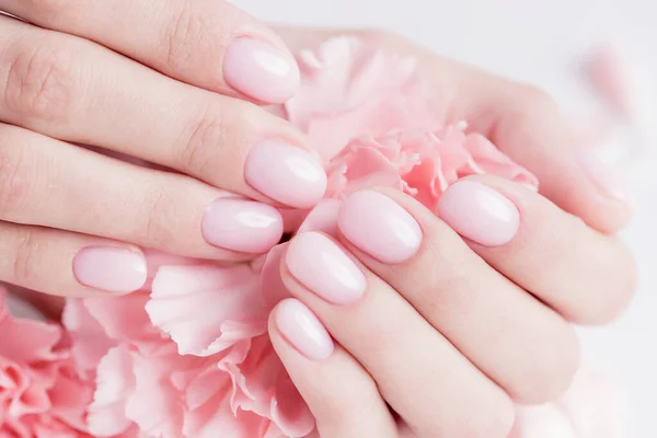 Close-up belas mãos mulher sofisticada com flores cor de rosa no fundo branco. Conceito manicure hand care spa, vista superior — Fotografia de Stock