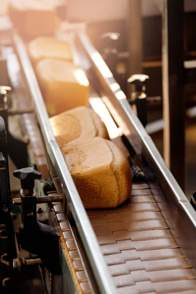 Vierkant gebakken brood op transportband automatische productielijn bakkerij uit hete oven, bovenaanzicht — Stockfoto