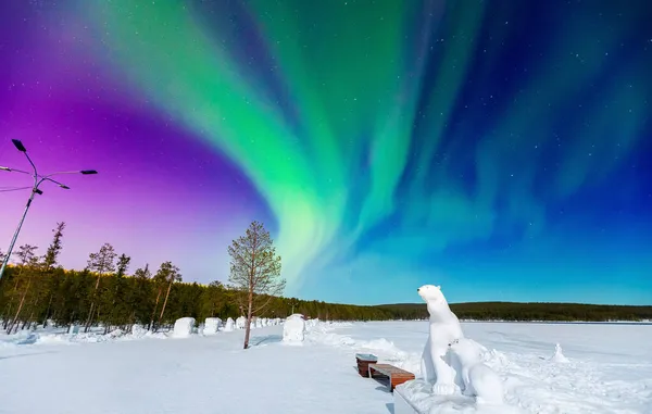 Concept Northern Lights utazási banner. Sarkvidéki jegesmedvék hátterében aurora borealis és éjszakai csillagos ég — Stock Fotó