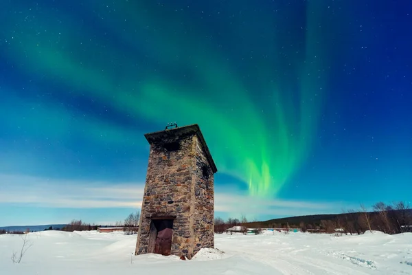 Barevné arktické polární noc hvězdnatá obloha pozadí polární záře a severní světla v lese — Stock fotografie