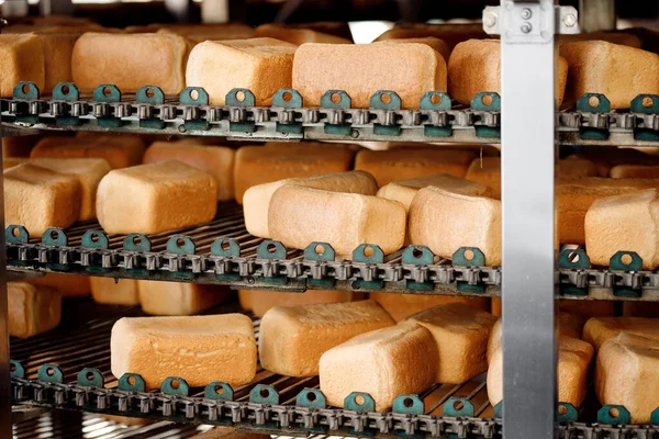 ホットオーブンからコンベア食品自動生産ラインベーカリー上の焼き正方形のパン — ストック写真