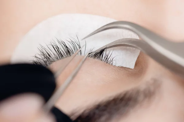 Closeup Eyelash extension procedure. Master tweezers fake black long lashes beautiful female eyes — Stock Photo, Image