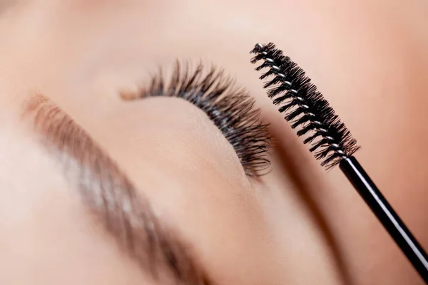 Master combing with brush lashes after eyelash extension procedure microblading in beauty salon — Stock Photo, Image