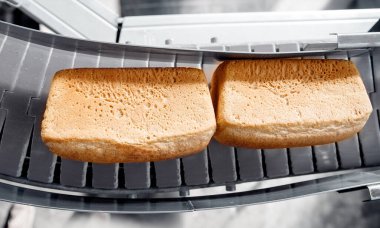 Sıcak fırından, konveyör gıda otomatikman üretim hattı fırını üzerinde fırınlanmış kare ekmekler, üst görünüm