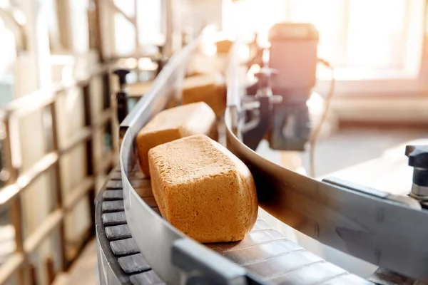 Bakat fyrkantigt bröd på transportör livsmedel automatisk produktionslinje bageri från varm ugn — Stockfoto