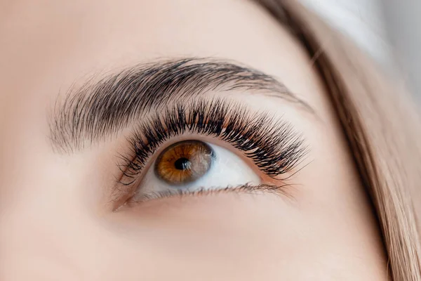 Szempilla kiterjesztési eljárás mikropengézés szemek nő szépségszalonban — Stock Fotó