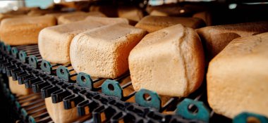 Banner Meydanı taze ekmek taştan fırın üstüne otomatik üretim hattında soğuyor.