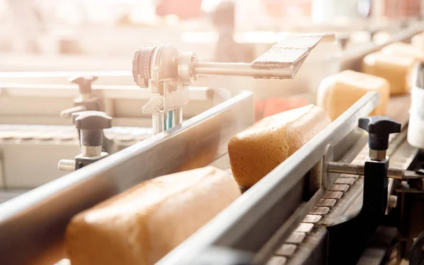 Vierkant vers brood koelt af op transportband automatische productielijn bakkerij na steenoven — Stockfoto
