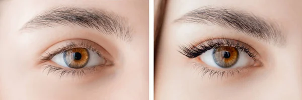 Szempilla hosszabbítási eljárás előtt és után. Gyönyörű nő barna szeme hosszú szempilla szépségszalonban — Stock Fotó