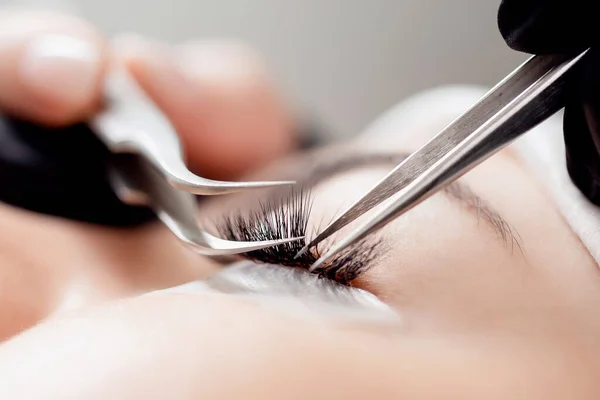 Process Eyelash extension procedure. Master tweezers fake 5d lashes beautiful woman eyes — Stock Photo, Image