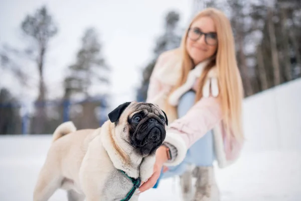 Занимаясь спортом зимой с животными, молодая женщина каноэ с собакой-мопсом — стоковое фото
