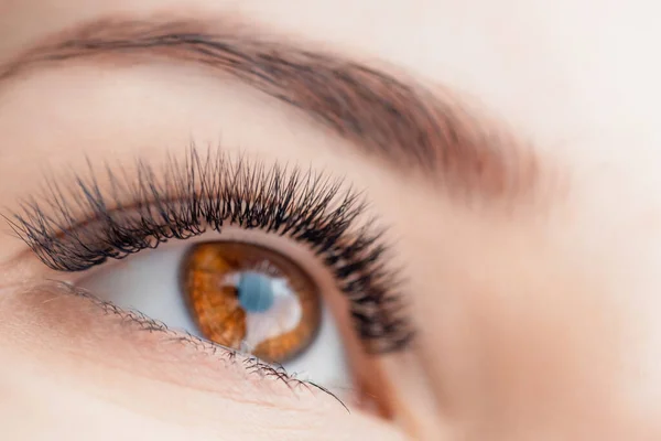 Wimper uitbreiding procedure microblading voor ogen vrouw in schoonheidssalon — Stockfoto